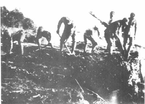 蘇浙軍區(qū)的大生產(chǎn)運動